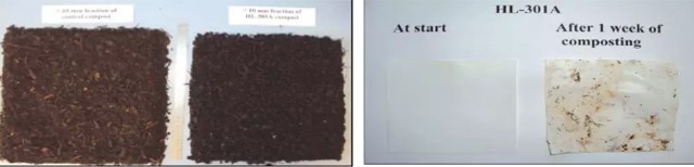 堆肥開(kāi)始2周